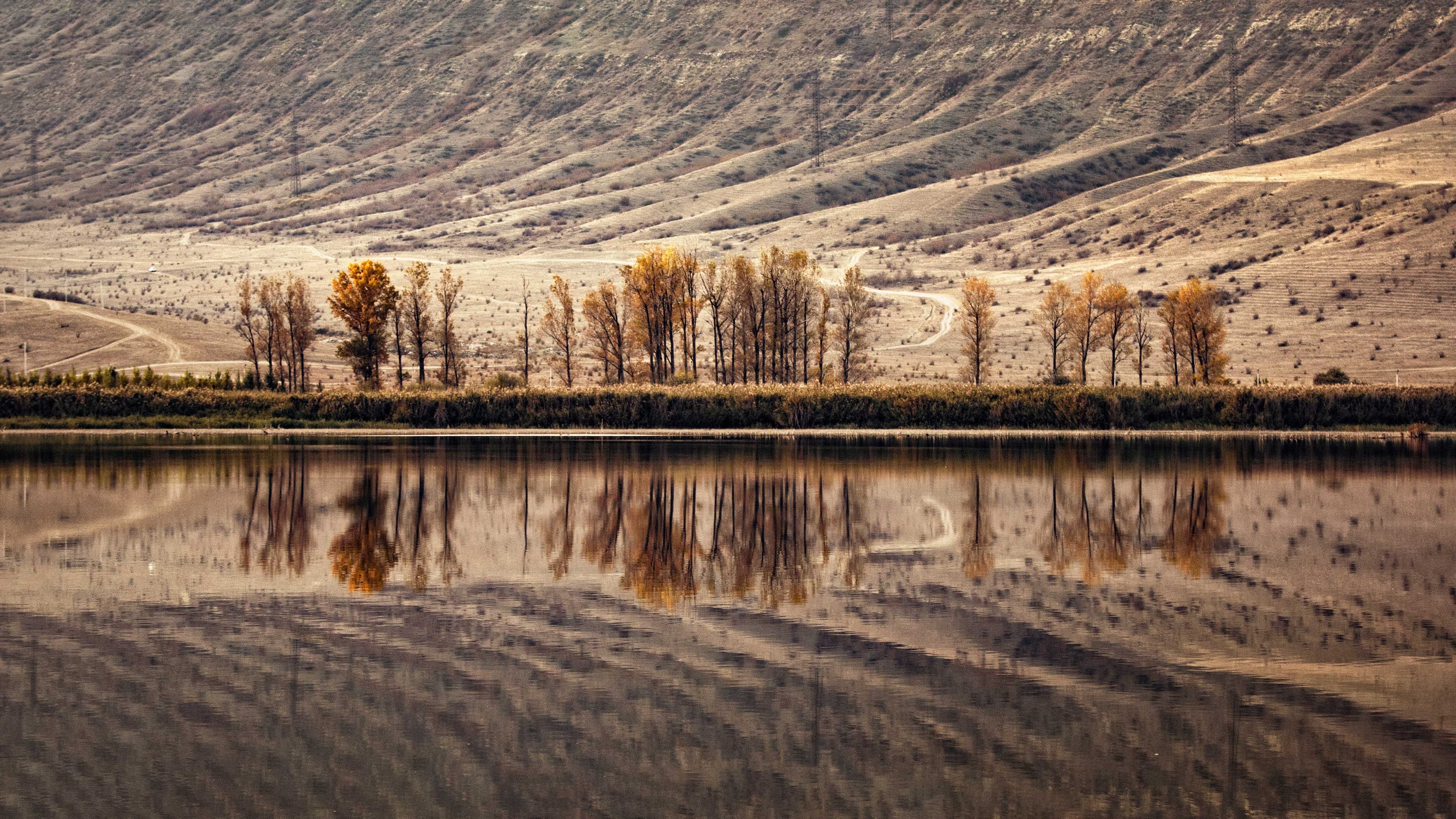 Landscape & Seascape